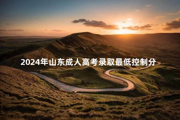 2024年山东成人高考录取最低控制分数线已公布