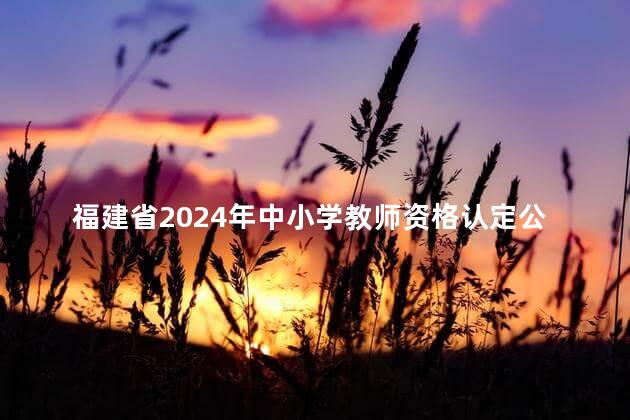 福建省2024年中小学教师资格认定公告