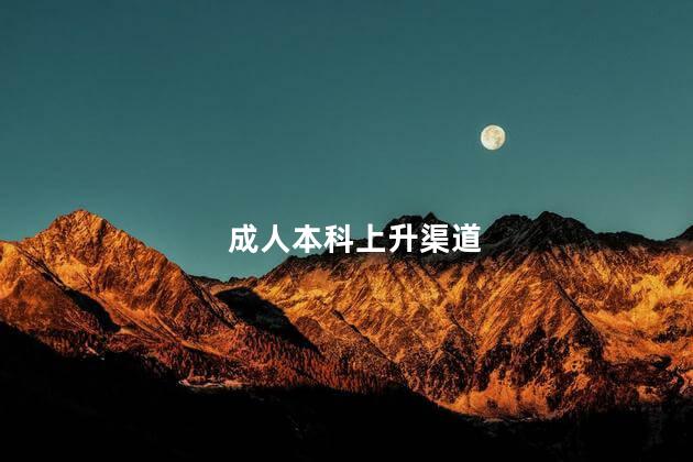 成人本科上升渠道