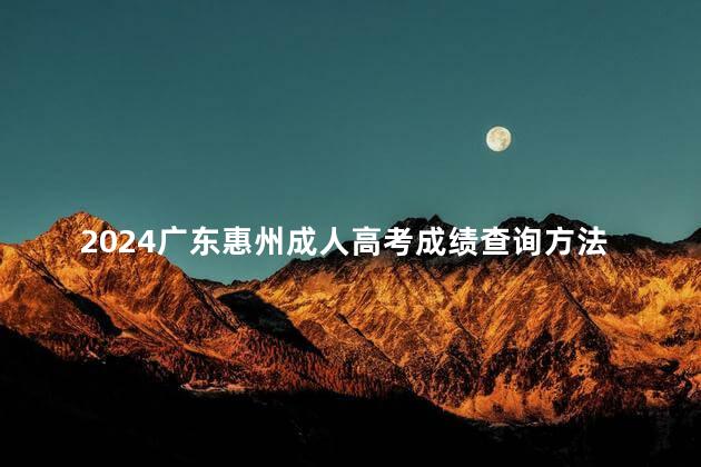 2024广东惠州成人高考成绩查询方法