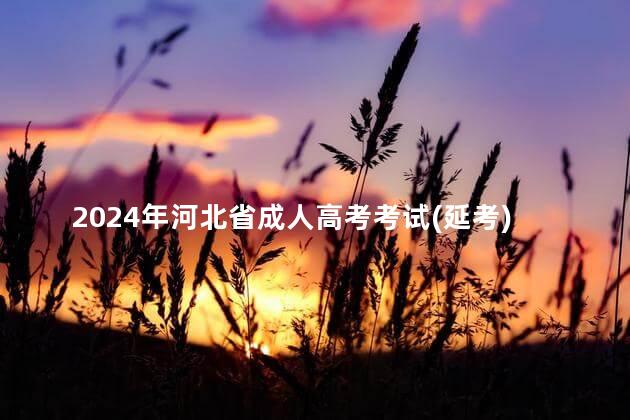 2024年河北省成人高考考试(延考)公告