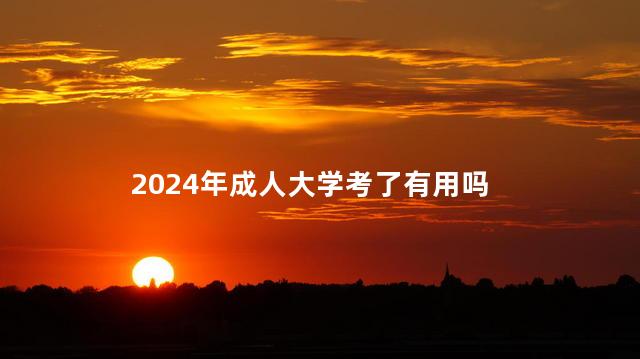 2024年成人大学考了有用吗