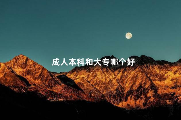 成人本科和大专哪个好