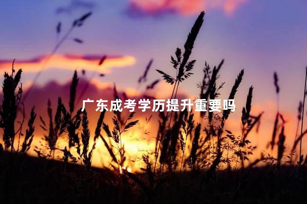 广东成考学历提升重要吗