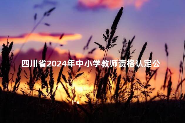 四川省2024年中小学教师资格认定公告
