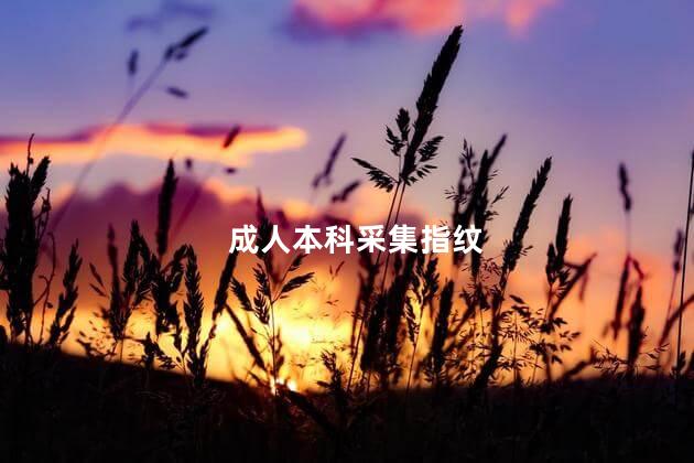 成人本科采集指纹