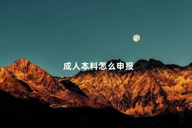 成人本科怎么申报