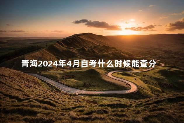 青海2024年4月自考什么时候能查分